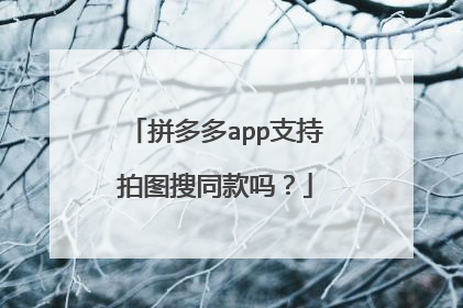 拼多多app支持拍图搜同款吗？