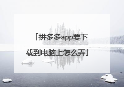 拼多多app要下载到电脑上怎么弄