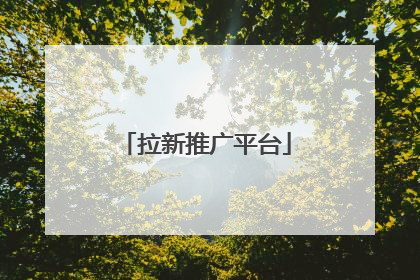 拉新推广平台