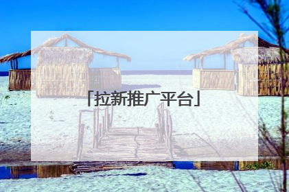拉新推广平台