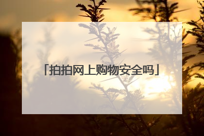 拍拍网上购物安全吗