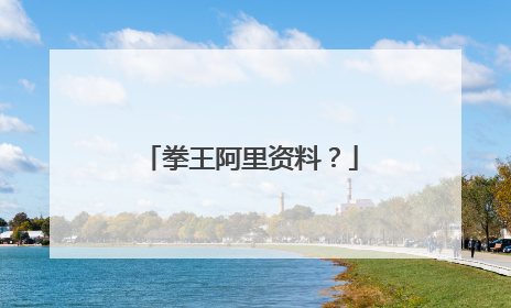 拳王阿里资料?