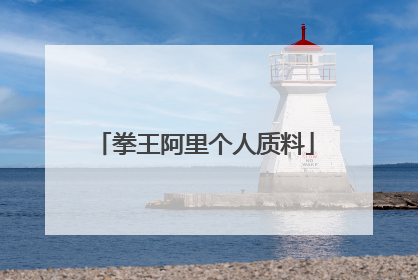 拳王阿里个人质料