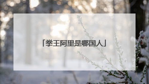 拳王阿里是哪国人