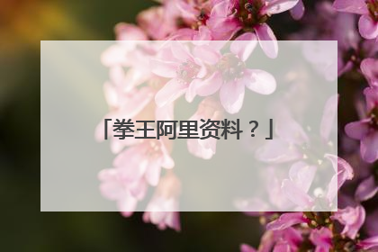 拳王阿里资料?