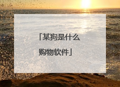 某狗是什么购物软件