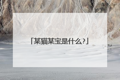 某猫某宝是什么?