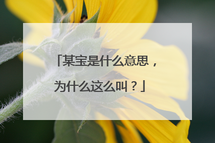 某宝是什么意思,为什么这么叫?