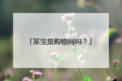 某宝是购物网吗?