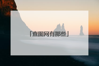 查图网有那些