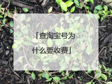 查淘宝号为什么要收费