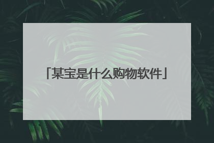 某宝是什么购物软件