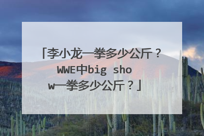 李小龙一拳多少公斤?WWE中big show一拳多少公斤?