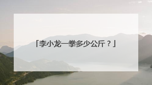 李小龙一拳多少公斤?