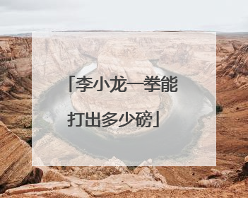 李小龙一拳能打出多少磅
