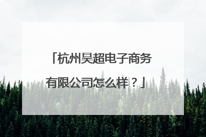 杭州昊超电子商务有限公司怎么样?