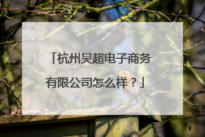 杭州昊超电子商务有限公司怎么样?