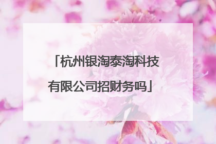 杭州银淘泰淘科技有限公司招财务吗
