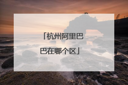 杭州阿里巴巴在哪个区
