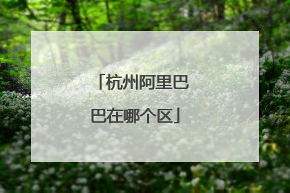 杭州阿里巴巴在哪个区
