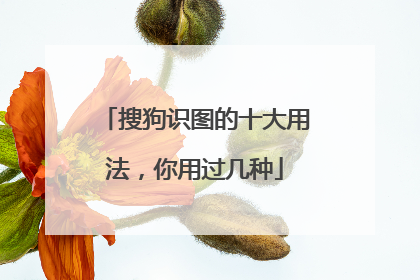 搜狗识图的十大用法,你用过几种