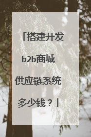 搭建开发b2b商城供应链系统多少钱?