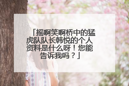 摇啊笑啊桥中的猛虎队队长韩悦的个人资料是什么呀!您能告诉我吗?