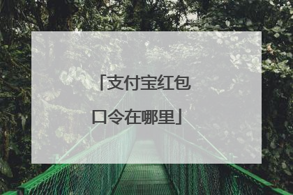 支付宝红包口令在哪里