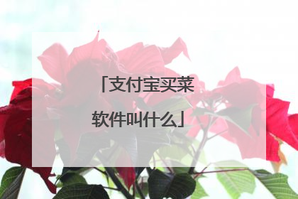 支付宝买菜软件叫什么