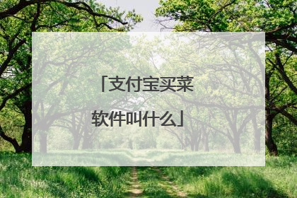 支付宝买菜软件叫什么