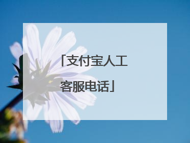 支付宝人工客服电话