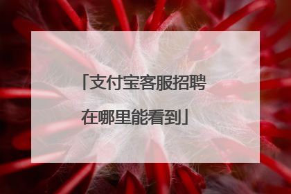 支付宝客服招聘在哪里能看到