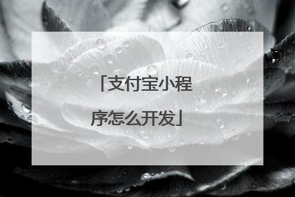 支付宝小程序怎么开发