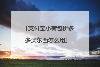 支付宝小荷包拼多多买东西怎么用