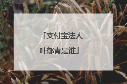 支付宝法人叶郁青是谁