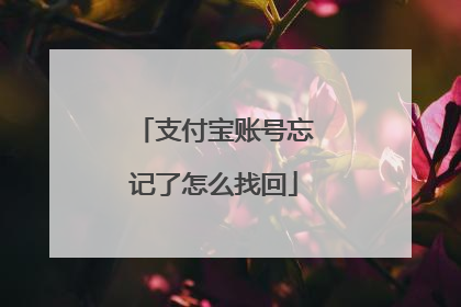 支付宝账号忘记了怎么找回