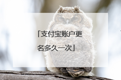 支付宝账户更名多久一次