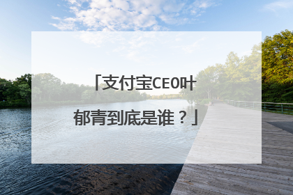 支付宝CEO叶郁青到底是谁?