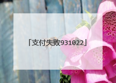 支付失败931022