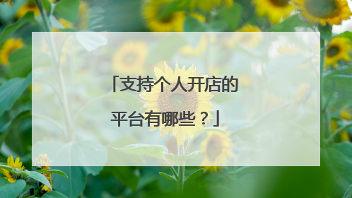 支持个人开店的平台有哪些?