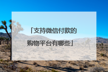 支持微信付款的购物平台有哪些
