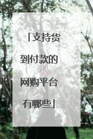 支持货到付款的网购平台有哪些