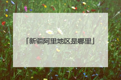 新疆阿里地区是哪里