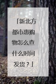 新北方都市惠购物怎么查什么时间发货?