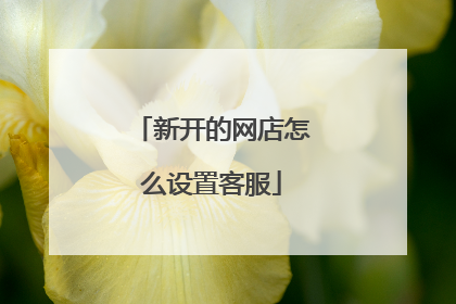 新开的网店怎么设置客服