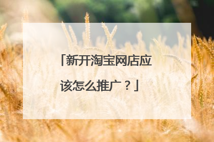 新开淘宝网店应该怎么推广?