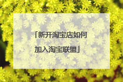 新开淘宝店如何加入淘宝联盟