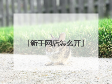 新手网店怎么开