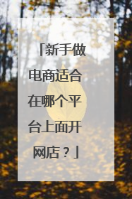 新手做电商适合在哪个平台上面开网店？