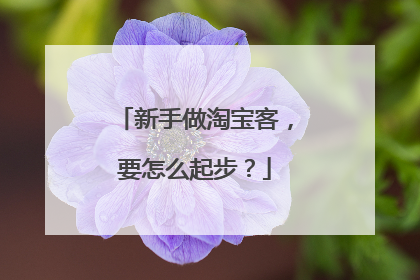 新手做淘宝客,要怎么起步?